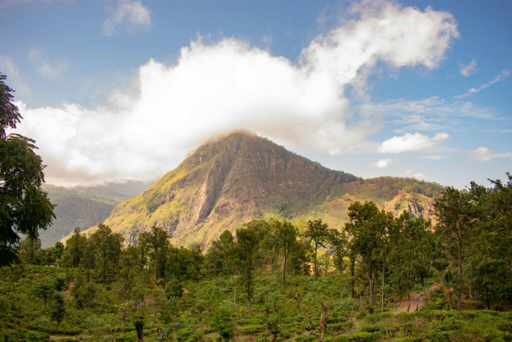 A beautiful landscape view of the majestic Ella Rock mountain in Sri Lanka under a blue sky